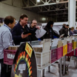 Hi-Fi & High End Show 2019