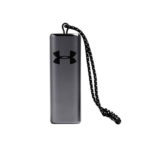 Under Armour True Wireless FLASH (JBL)