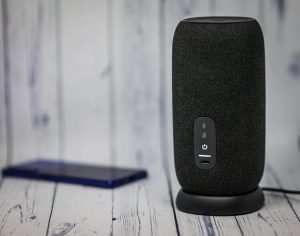 Колонка JBL Link Portable с Алисой