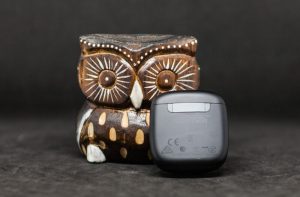 JBL Tune 225 TWS кейс сзади