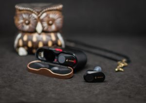 Беспроводные наушники Sony WF-1000XM3