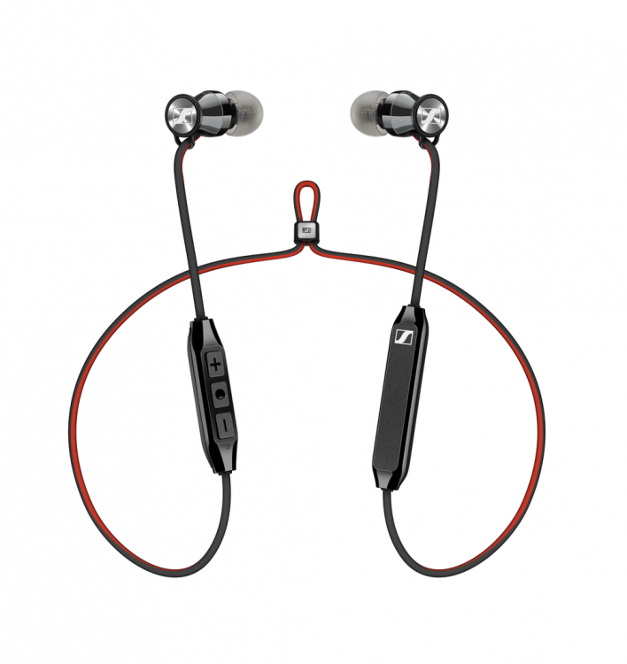 momentum free 2 1