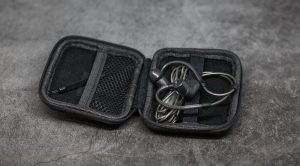 Sennheiser IE 300 в кейсе