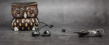 Sennheiser IE 300 заушины