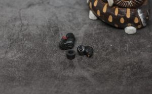 Sennheiser IE 300 звуковод