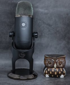 Blue Yeti X сзади