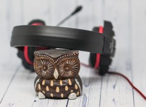 Sven AP-G300MV оголовье