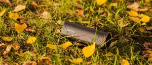 Колонка беспроводная Sonos Roam