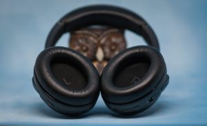 JBL Tour One амбушюры