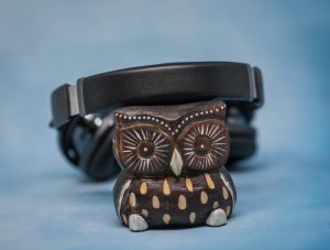 JBL Tour One оголовье
