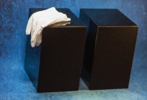Pro-Ject Speaker Box 5 с защитными сетками