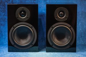 Pro-Ject Speaker Box 5 без защитных сеток