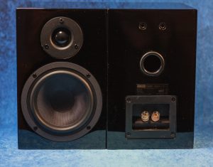 Pro-Ject Speaker Box 5 внешний вид спереди и сзади