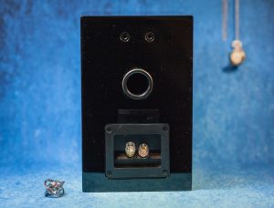 Pro-Ject Speaker Box 5 сзади