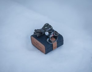 Fiio FH5s Pro и кейс