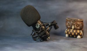 Микрофон Oklick SM-700G в стойке "паук"
