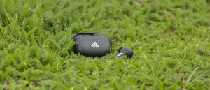 Adidas Z.N.E. 01 ANC TWS