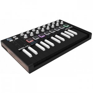 midi клавиатура arturia minilab mkii inverted