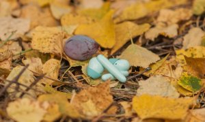 Huawei FreeBuds SE внешний вид