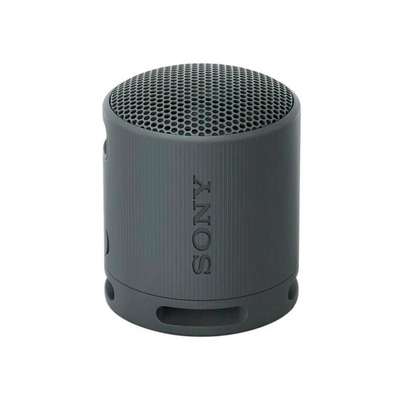 Sony SRS-XB100