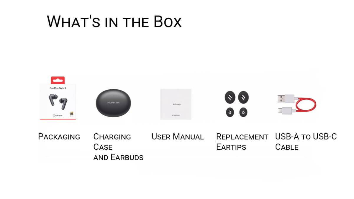 What's in the Box