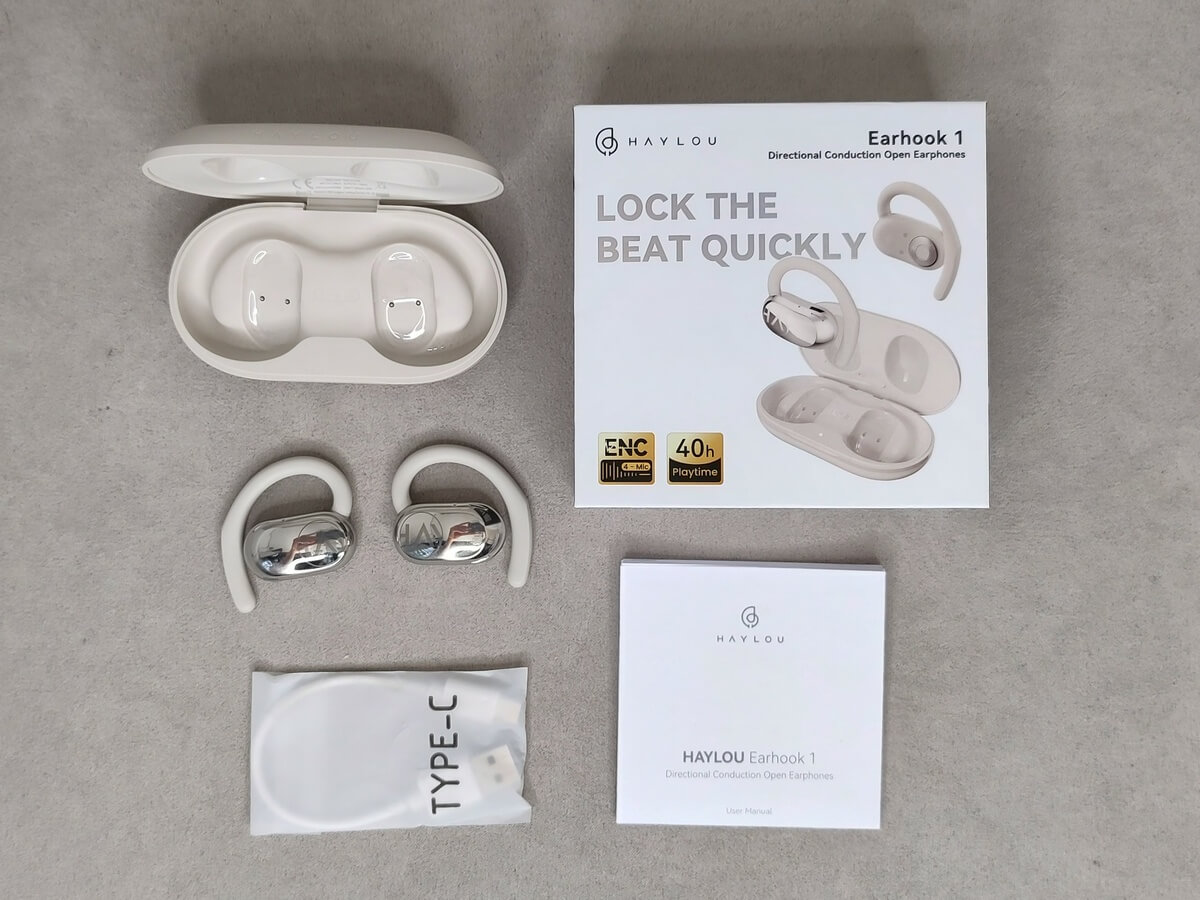 HAYLOU Earhook 1 - комплектация