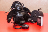 Обзор Astell&Kern AK XB10 – Bluetooth-ресивер и ЦАП для наушников